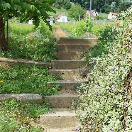 Guest house Remete-lak Villany