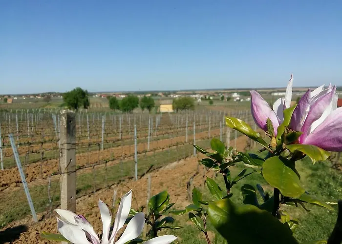 Guest house Remete-lak Villany